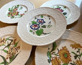 Set of 6 Cauldon Potteries Floral Plates