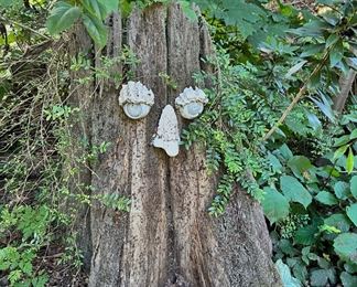 Spirit of the Trees - Tree Face