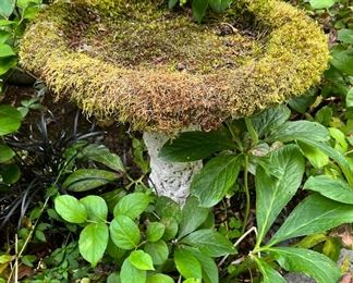 Concrete Bird Bath