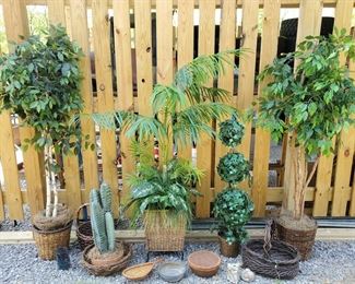 Perpetual Green Thumb