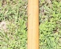 60 - Sledgehammer 36" long
