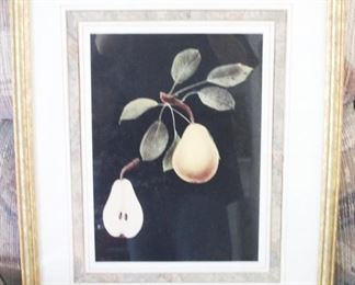 145 - Framed Print 18" x 22"
