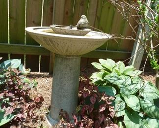 bird bath