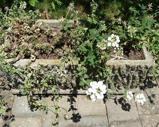 concrete planter