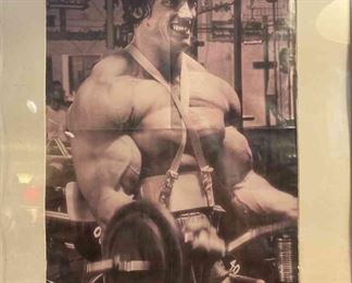 Framed Arnold Schwarzenegger Poster
