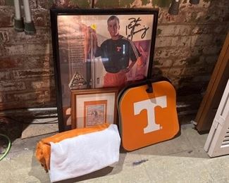 UT VOLS LOT