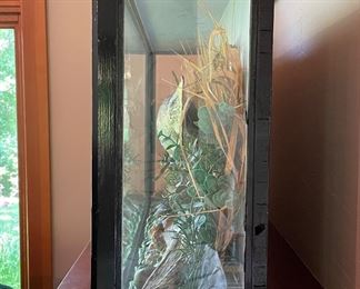 Taxidermy Fish in Case. Measures 39" W x 8" D x 20" H. Photo 2 of 2.