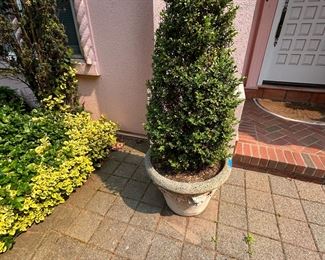 POTTERY WITH TREE- MATCHED PAIR