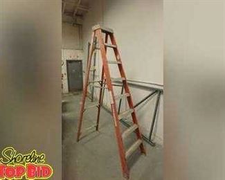 8foot Louisville Step Ladder