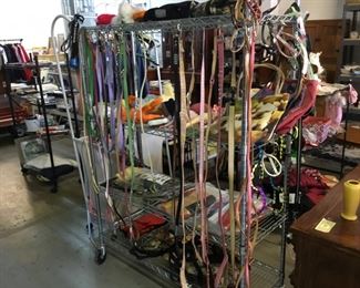 New dog collars and leashes