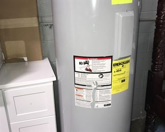 Water heather  Orlando Estate Auction