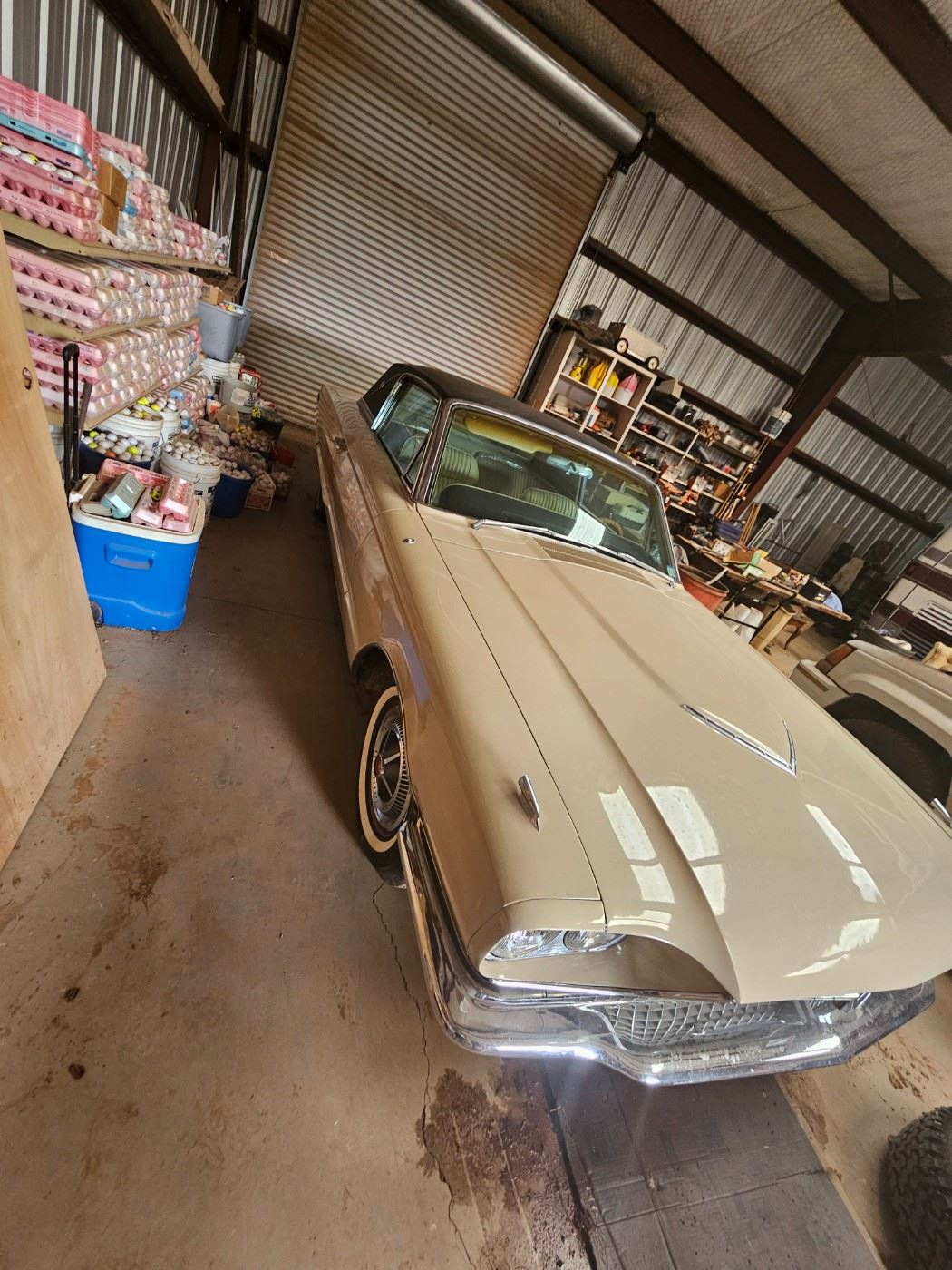 Estate Auction in Abilene, TX starts on 6/17/2023