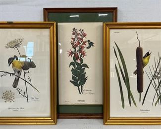 Three Framed Signed Prints Harm  Stamper