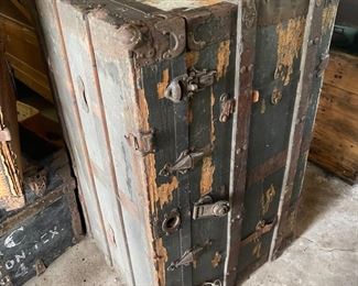 One of several trunks