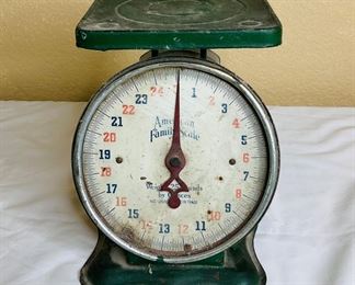 Vintage American Family Scale