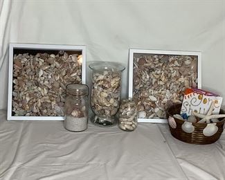 More Seashells
