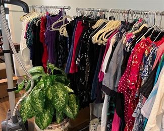 Silk plant (Steamer not for sale) 