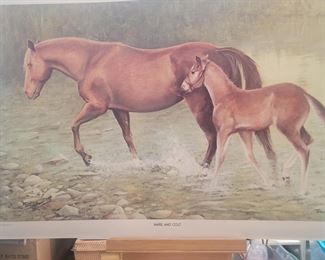 Ben Hampton
"MARE and COLT"