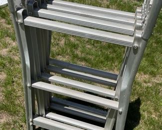 Foldaway Multiposition Ladder