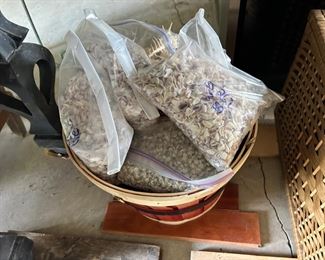 Bags of Coquina shells - $2 each bag