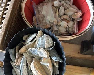 shells