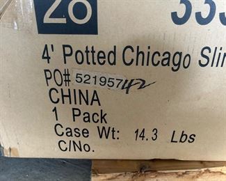 4ft potted prelit potted tree - 2 available