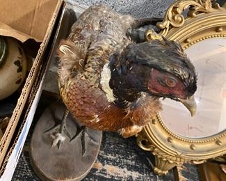 collectibles and box lots