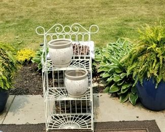 Pairs of Plants Pots