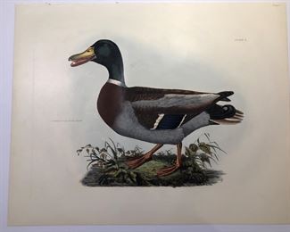 One of several duck pieces
