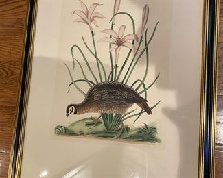 One of many antique prints or engravings 