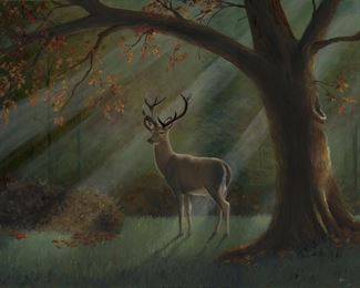 Deer in Woodssm