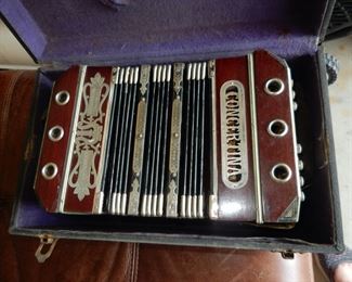 Concertina
