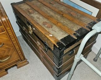 Beautiful empty trunk