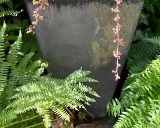 Lovely glazed pots and planters available 