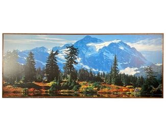 LARGE MOUNTAINSIDE PICTURE | Large picture of flowery meadow and trees with large snowy mountains in background. Photo printed on large wooden frame. - l. 10 x h. 4 ft