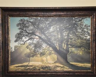 "Breaking Through" Artwork - Custom Framed - 32 x 45”