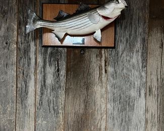 Fish mount