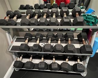 74. Hoist Weight Stand 10 pairs of weights - 10-50 lbs 