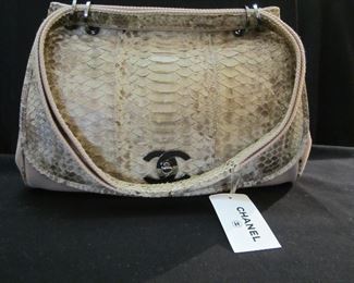 Chanel Neutrals Python Trimmed Shoulder Bag