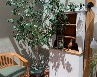 Painted cupboard and large ficus