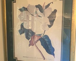 Classic magnolia art