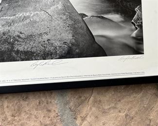 DAVID BUSCH PHOTOGRAPH - 