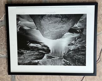 DAVID BUSCH PHOTOGRAPH - 