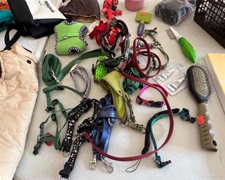 Doggies miscellaneous