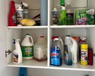 Cleaning Products and tools