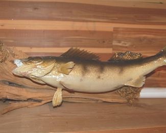 Another Fish Wall Mount