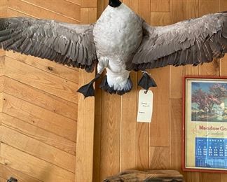 Full Size Goose Mount