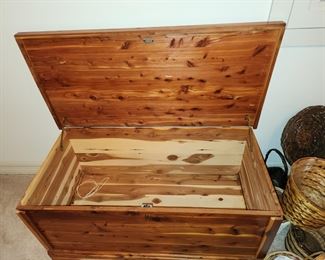 Inside Cedar Trunk