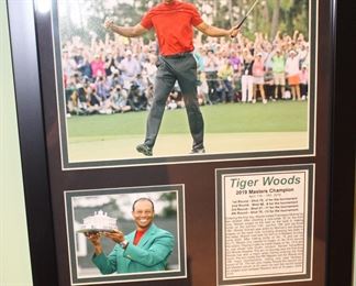 Tiger Woods 2019 Masters Champion.
