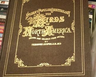 birds of North America full color illustrations